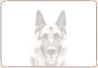 Dog - German Shepherd 04.jpg
